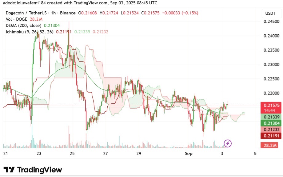 Dogecoin Price Struggles To Stay Above $0.20, Analysts Say Remittix Could Be The Next 100x Crypto