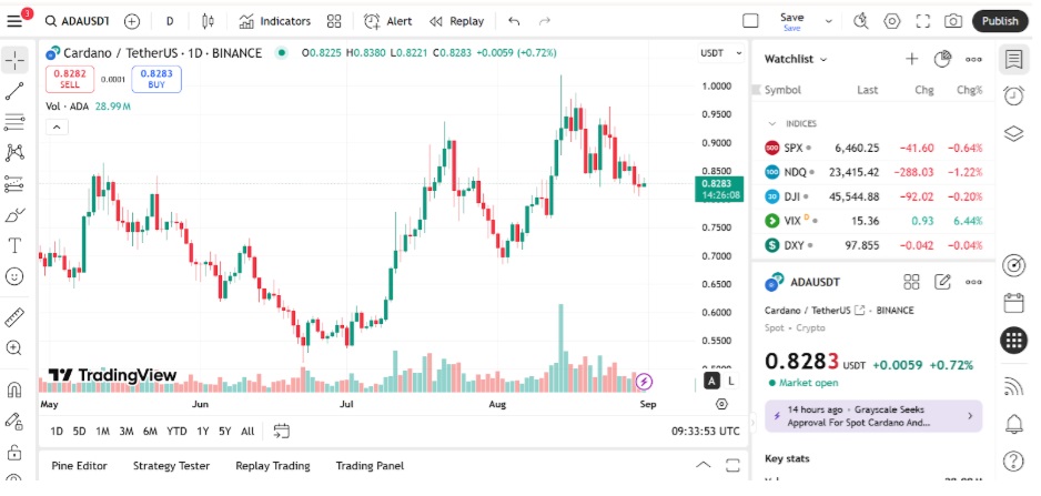 Cardano & Chainlink Whales Hedge With This New Ground-Breaking Altcoin Remittix