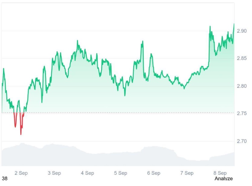 Smart Investors Rush Into Ruvi AI (RUVI) as $1 Forecast Nears, Institutional Backing Positions It to Rival Ripple’s (XRP) Success