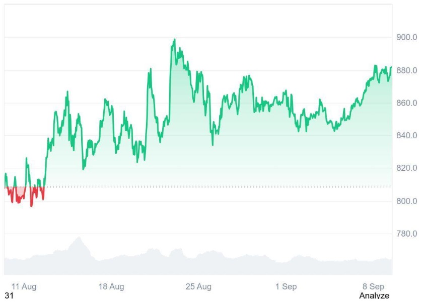 Why Buying Ruvi AI (RUVI) at $0.020 Could Be Your Last Chance for Major Returns? Analysts Compare It to Binance Coin (BNB) at $0.80