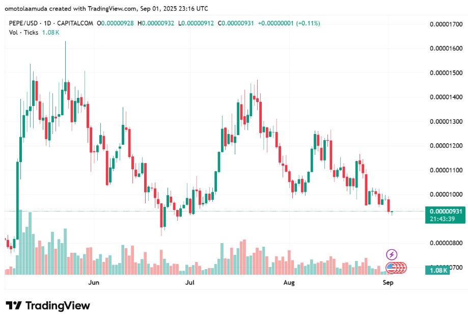 PEPE Pumps on Memes, While SYC’s Presale Builds Real Utility