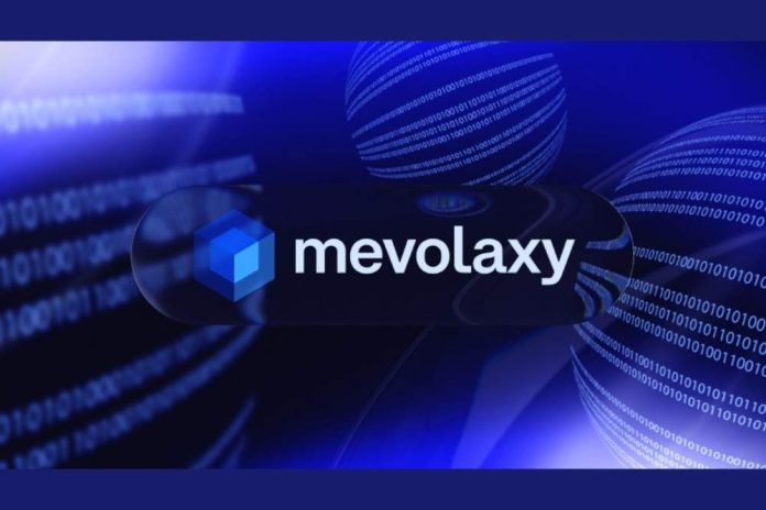 Mevolaxy's investors get record profits from new mevjrv12 algorithm