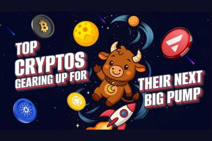 6 High-Potential Cryptos on the Rise: MoonBull Dominates as the Best Presale Crypto 2025