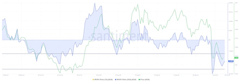 Revealed: Insiders Are Accumulating These 3 Altcoins For 15x Gains