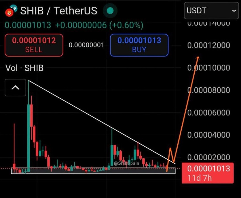 Traders Eye SHIB Rebound As Viral Altcoin Targets 43x ROI
