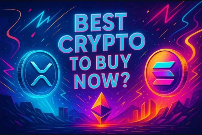 Pepe Price, Shiba Inu News & Where To Find The Top Trending Cryptos In 2025