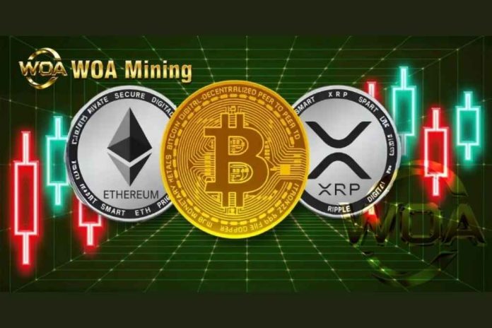 Latest news: BTC and XRP prices fluctuate dramatically. WOAMining helps coin holders earn daily income