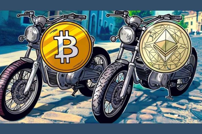 What Crypto to Invest in as Market Turns Bullish Again