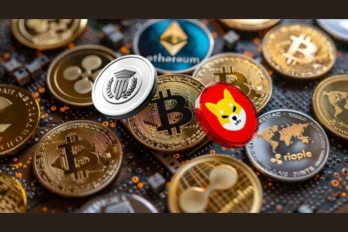 Mutuum Finance Dominates Whale Attention as Shiba Inu (SHIB) Loses Momentum in November 2025