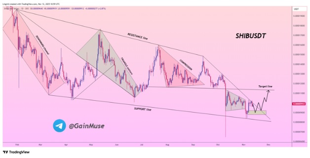 Mutuum Finance Dominates Whale Attention as Shiba Inu (SHIB) Loses Momentum in November 2025