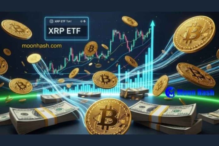 ETF Craze Ignites the Market! XRP Seizes the Dark Horse Title, with Potential Gains Exceeding 51%