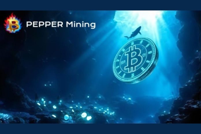 From beginner to advanced investor: How PEPPER Mining makes digital mining participation simpler and more efficient