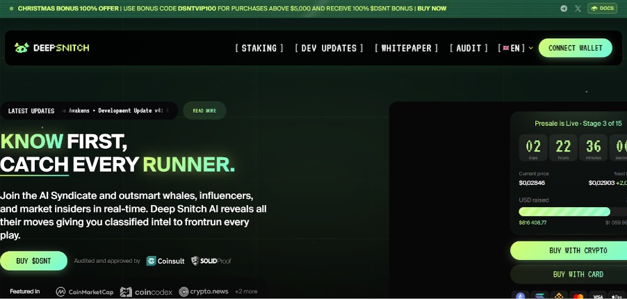 DeepSnitch AI scam protection crypto presale smart contract audit