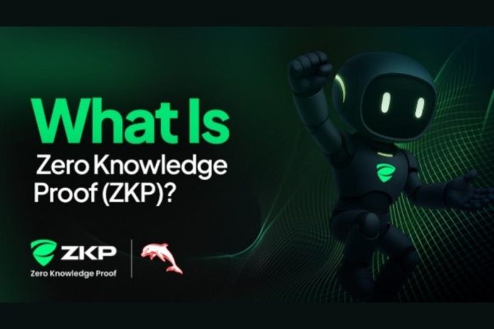 Everything You Need to Know About ZKP: Daily 200M Token Auctions, Testnet Access, & Proof Pods