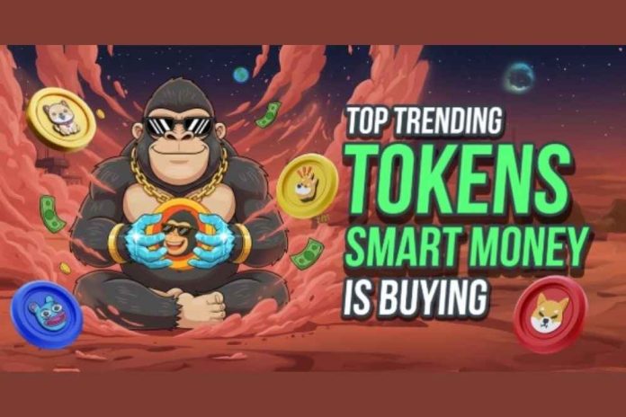 12 Million Dollar Narrative Coins Dominating Trader Conversations - One Presale at Stage 8 Grabs Center Stage