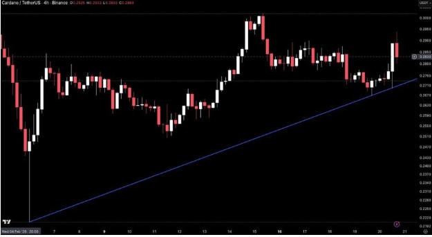Why Buy Mutuum Finance (MUTM) as Cardano (ADA) Stalls Below Resistance