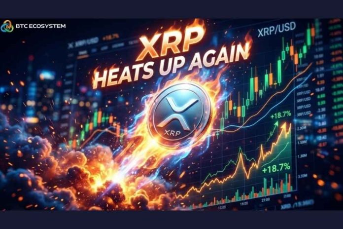 XRP Heats Up Again: Why Is the Expansion of the BTC Ecosystem Driving a Surge in Cloud Mining Users?