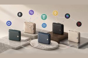 Multi-Chain Stablecoin Wallets in 2026: 5 Wallets Comparison