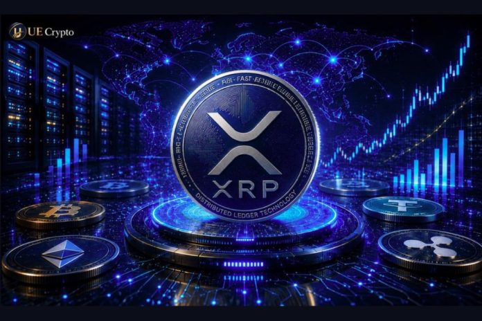 XRP Price Plummets: How XRP Holders Can Turn the Tide and Earn $10,000 a Day