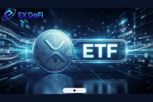 XRP ETF are poised to attract over $8 billion in inflows, with XRP holders potentially earning up to $5,000 daily.