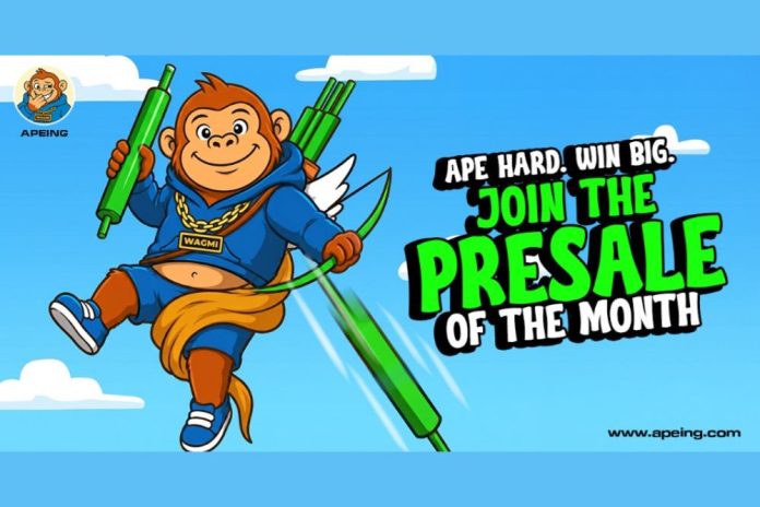 Turn $10K into $250K with This New Crypto Presale as Turbo and Bonk Draw Market Attention