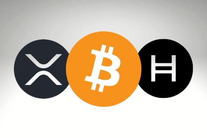 Uphold CEO Has Big News for XRP, HBAR, and Bitcoin Holders