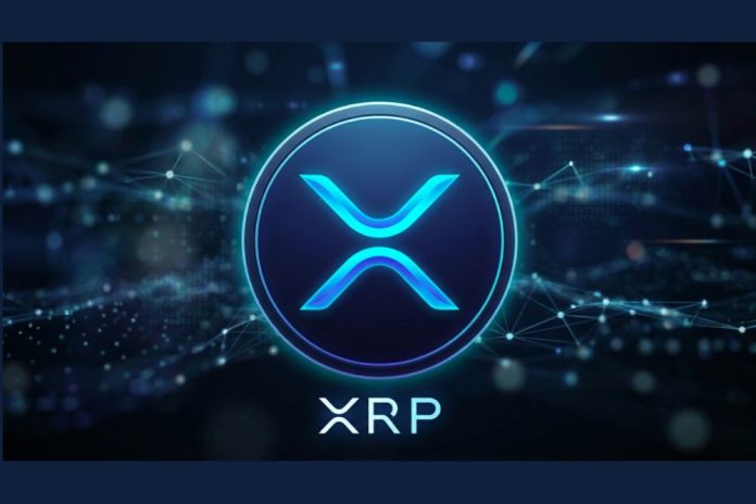 By holding XRP, you can learn about the XRPPower automated trading solution and explore the opportunity to earn $3,000 daily.